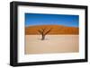 Namib Desert, Sossusvlei, Namibia-DR_Flash-Framed Photographic Print