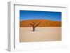 Namib Desert, Sossusvlei, Namibia-DR_Flash-Framed Photographic Print