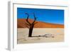 Namib Desert, Sossusvlei, Namibia-DR_Flash-Framed Photographic Print