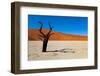 Namib Desert, Sossusvlei, Namibia-DR_Flash-Framed Photographic Print