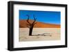 Namib Desert, Sossusvlei, Namibia-DR_Flash-Framed Photographic Print