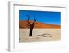 Namib Desert, Sossusvlei, Namibia-DR_Flash-Framed Photographic Print