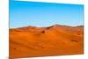 Namib Desert, Sossusvlei, Namibia-DR_Flash-Mounted Photographic Print