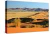 Namib Desert View from Elim Dune into the Dune Namib-null-Stretched Canvas