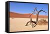 Namib Desert-Karel Gallas-Framed Stretched Canvas