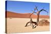 Namib Desert-Karel Gallas-Stretched Canvas