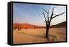 Namib Desert-Andrushko Galyna-Framed Stretched Canvas