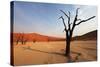 Namib Desert-Andrushko Galyna-Stretched Canvas