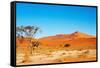 Namib Desert-DmitryP-Framed Stretched Canvas