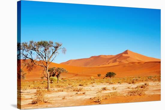 Namib Desert-DmitryP-Stretched Canvas