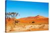 Namib Desert-DmitryP-Stretched Canvas