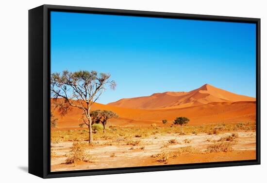 Namib Desert-DmitryP-Framed Stretched Canvas
