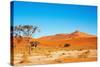 Namib Desert-DmitryP-Stretched Canvas