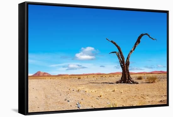 Namib Desert-DmitryP-Framed Stretched Canvas