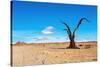 Namib Desert-DmitryP-Stretched Canvas