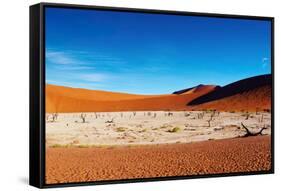 Namib Desert-DmitryP-Framed Stretched Canvas