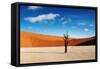 Namib Desert-DmitryP-Framed Stretched Canvas