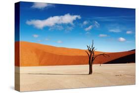 Namib Desert-DmitryP-Stretched Canvas