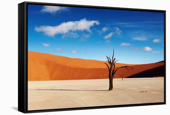 Namib Desert-DmitryP-Framed Stretched Canvas