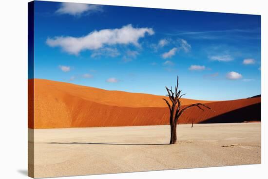 Namib Desert-DmitryP-Stretched Canvas