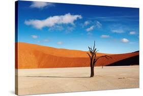 Namib Desert-DmitryP-Stretched Canvas