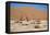 Namib Desert-Twentytwo-Framed Stretched Canvas