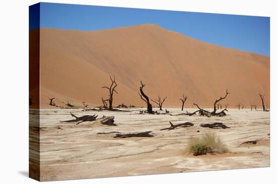 Namib Desert-Twentytwo-Stretched Canvas