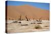 Namib Desert-Twentytwo-Stretched Canvas