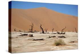 Namib Desert-Twentytwo-Stretched Canvas