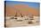 Namib Desert-Twentytwo-Stretched Canvas