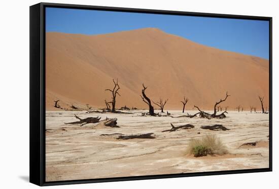 Namib Desert-Twentytwo-Framed Stretched Canvas