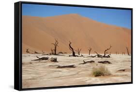 Namib Desert-Twentytwo-Framed Stretched Canvas