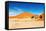 Namib Desert-DmitryP-Framed Stretched Canvas