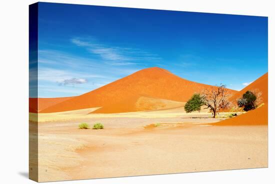 Namib Desert-DmitryP-Stretched Canvas