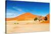 Namib Desert-DmitryP-Stretched Canvas