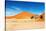 Namib Desert-DmitryP-Stretched Canvas