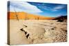 Namib Desert-DmitryP-Stretched Canvas