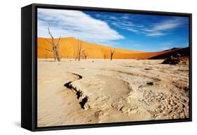 Namib Desert-DmitryP-Framed Stretched Canvas