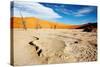 Namib Desert-DmitryP-Stretched Canvas