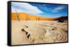 Namib Desert-DmitryP-Framed Stretched Canvas