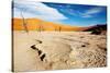 Namib Desert-DmitryP-Stretched Canvas