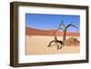 Namib Desert-Karel Gallas-Framed Photographic Print