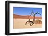 Namib Desert-Karel Gallas-Framed Photographic Print