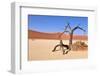 Namib Desert-Karel Gallas-Framed Photographic Print