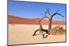 Namib Desert-Karel Gallas-Mounted Photographic Print