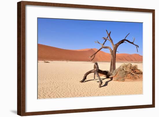 Namib Desert-Karel Gallas-Framed Photographic Print