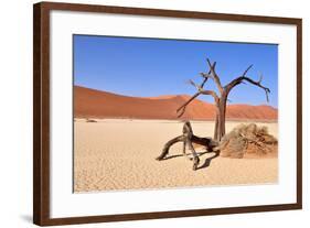 Namib Desert-Karel Gallas-Framed Photographic Print