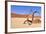 Namib Desert-Karel Gallas-Framed Photographic Print