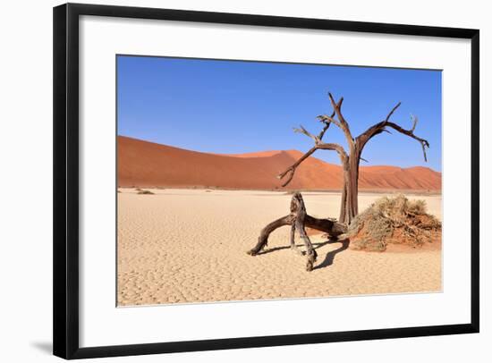 Namib Desert-Karel Gallas-Framed Photographic Print