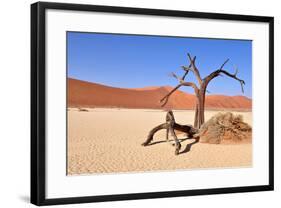 Namib Desert-Karel Gallas-Framed Photographic Print